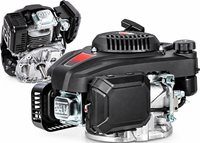 Loncin LC1P65FE-2-B Lawn Mower Motor, Vertical Shaft, Type B, 22.2 mm, 62 mm