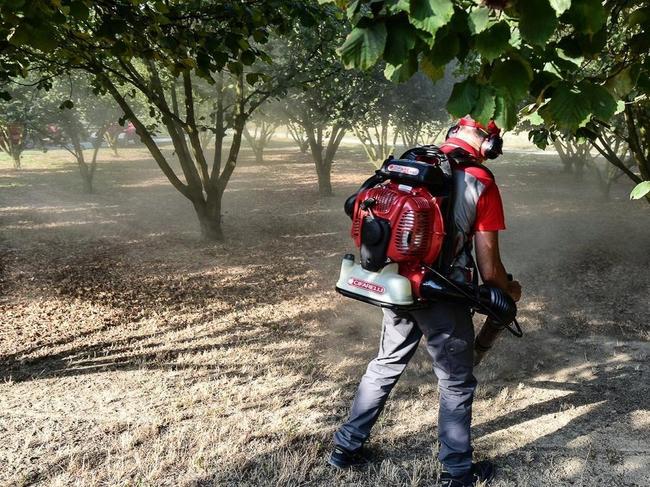 CIFARELLI BL1200 LEAF BLOWER VACUUM CLEANER BL 1200 GARDEN PROFI PROFESSIONAL - OFFICIAL DISTRIBUTOR - AUTHORIZED CIFARELLI DEALER