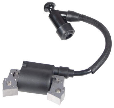 Modul zapalování motoru Cedrus Y170V 484116