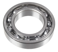 Bearing 6007 Cedrus soil planter GLX540 360720013