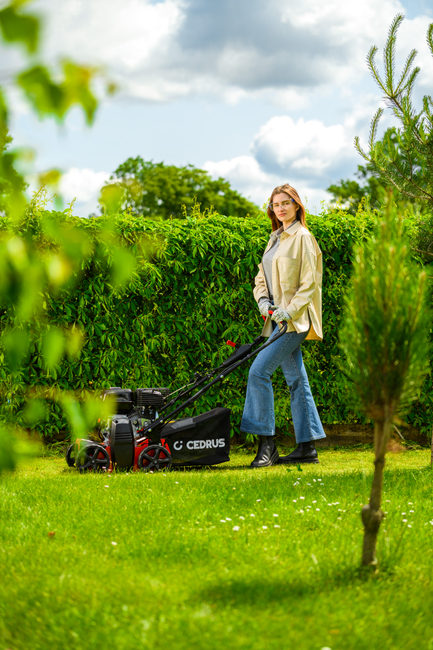 CEDRUS WR01 SPRELINER TREATER AREATOR 2-in-1 5.5 HP - EWIMAX - OFFICIAL DISTRIBUTOR - AUTHORIZED DEALER CEDRUS