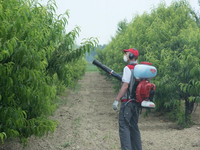 CIFARELLI M1200 DIESEL BACKPACK SPRAYER GARDEN ORCHARD SPRAYER 17L PROFESSIONAL - OFFICIAL DISTRIBUTOR - AUTHORIZED CIFARELLI DEALER