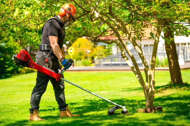 CEDRUS WK520X BENZÍNOVÁ SEKAČKA NA TRÁVU 2 KM EWIMAX - OFICIÁLNÍ DISTRIBUTOR - AUTORIZOVANÝ PRODEJCE CEDRUS