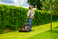 CEDRUS WR01 2v1 5,5 hp SPRINÁLNÍ VERTIKULÁTOR AREATOR 2v1 - EWIMAX - OFICIÁLNÍ DISTRIBUTOR - AUTORIZOVANÝ PRODEJCE CEDRUS