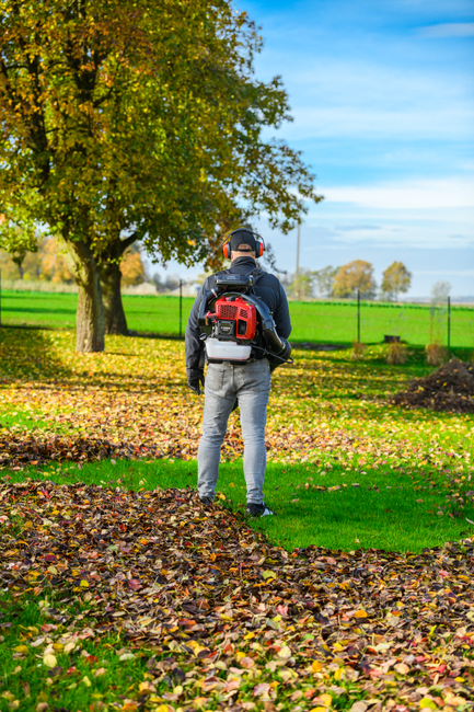 CEDRUS DM05 PRO PROFESSIONAL GARDEN LEAF BLOWER HOOVER - OFICIÁLNÍ DISTRIBUTOR - AUTORIZOVANÝ PRODEJCE CEDRUS