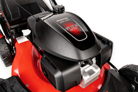 CEDRUS KS56S-H HONDA KOSIARKA SPALINOWA DO TRAWY CEDRUS KS56S-H Z NAPĘDEM 5w1 56cm / 5.6 KM HONDA GCV200 - EWIMAX - OFICJALNY DYSTRYBUTOR - AUTORYZOWANY DEALER CEDRUS