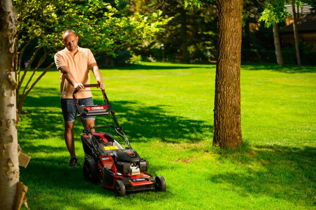 CEDRUS KS53S-H ALUMINIUM MOWER WITH HONDA GCV200 5in1 53cm / 4.1 HP - EWIMAX - OFFICIAL DISTRIBUTOR - AUTHORIZED DEALER CEDRUS