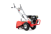 FAWORYT SHT48F-196L SPRINIONAL CULTILIZER DREAMER with 6.5HP 48cm drive