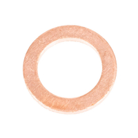 CEDRUS foot pad ST02 540157