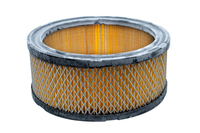 Kohler 25 HP OHV air filter 8R01-09