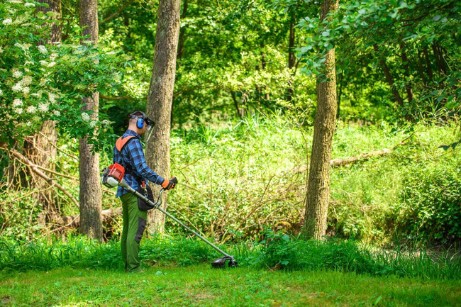 CEDRUS WK330 PETROL GRASS TRIMMER MOWER 1.2 KM EWIMAX-OFFICIAL DISTRIBUTOR - AUTHORIZED CEDRUS DEALER