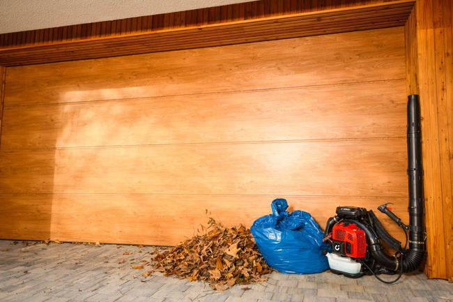 CEDRUS DM05 PRO PROFESSIONAL GARDEN LEAF BLOWER HOOVER - OFICIÁLNÍ DISTRIBUTOR - AUTORIZOVANÝ PRODEJCE CEDRUS