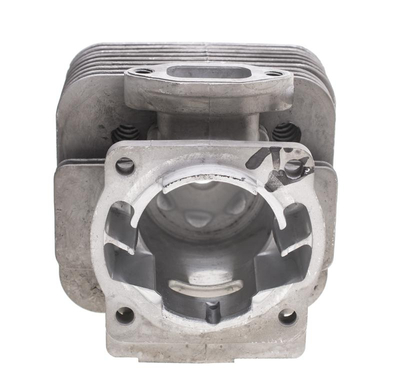 CEDRUS DM01 OP01 070035 cylinder