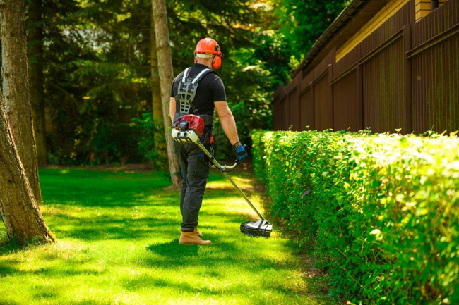 CEDRUS WK330 PETROL GRASS TRIMMER MOWER 1.2 KM EWIMAX-OFFICIAL DISTRIBUTOR - AUTHORIZED CEDRUS DEALER