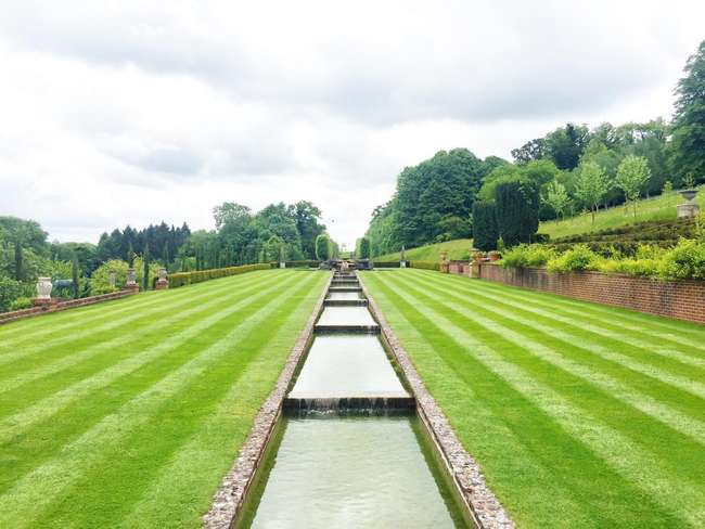 WEIBANG WB567SK V-R MOTORIZED VINE MOWER WITH DRIVE AND RECYCLING ROLL 6HP / 56cm - OFFICIAL DISTRIBUTOR - AUTHORIZED WEIBANG DEALER