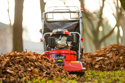 CEDRUS LV58 S PROFESSIONAL CLEANER + 4in1 SPRINEL LEAF VERTICULATOR 4in1 GARDEN DRIVE ROAD DRIVER 2in1 LV58S - OFFICIAL DISTRIBUTOR - AUTHORIZED DEALER CEDRUS