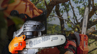 OLEO-MAC GSTH 240 PROFESSIONAL CHAINSAW CHAIN SAW LOPPER LOPPER LOPPER PREMIUM GRADE 50359001E5 EWIMAX-OFFICIAL DISTRIBUTOR - AUTHORIZED OLEO-MAC DEALER