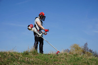 MARUYAMA BCV5021 PROFI PETROL LAWN MOWER PROFESSIONAL TRIMMER TRIMMER TRIMMER TRIMMER TRIMMER 3.1KM