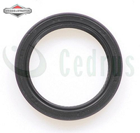 B&S lower shaft seal Intek / Powerbuilt ORIGINAL PART 795387