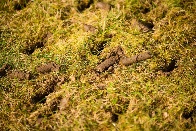 WEIBANG WB457AB 5 hp B&S Briggs & Stratton 750 Series WB457 / WB 457 provzdušňovač trávníku EWIMAX - OFICIÁLNÍ DISTRIBUTOR - AUTORIZOVANÝ PRODEJCE WEIBANG