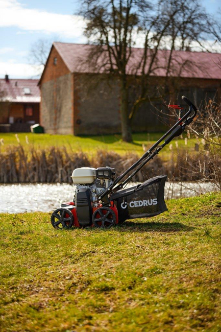 CEDRUS WR01-H SPRELINÁRNÍ KŘOVINOŘEZ 2v1 6 HP HONDA GP200 - EWIMAX - OFICIÁLNÍ DISTRIBUTOR - AUTORIZOVANÝ PRODEJCE CEDRUS