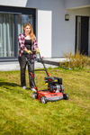 CEDRUS WR02 R WERTYKULATOR SPALINOWY DO TRAWY AREATOR  6 KM NOŻE WAHLIWE - EWIMAX - OFICJALNY DYSTRYBUTOR - AUTORYZOWANY DEALER CEDRUS