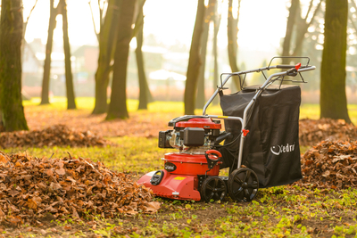 CEDRUS LV58 S PROFESSIONAL CLEANER + 4in1 SPRINEL LEAF VERTICULATOR 4in1 GARDEN DRIVE ROAD DRIVER 2in1 LV58S - OFFICIAL DISTRIBUTOR - AUTHORIZED DEALER CEDRUS