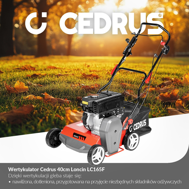 CEDRUS WR02 R DIESEL LAWN SCARIFIER AERATOR 6 KM SWING BLADES - EWIMAX - OFFICIAL DISTRIBUTOR - AUTHORIZED CEDRUS DEALER