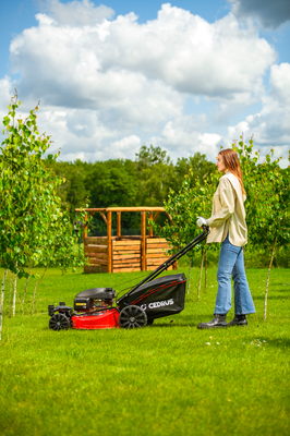 CEDRUS KS51S-H-ZT HONDA 5in1 SPRINEL MOWER WITH DRIVE 51cm / 4.6 HP HONDA GCV170 - EWIMAX - OFFICIAL DISTRIBUTOR - AUTHORIZED DEALER CEDRUS