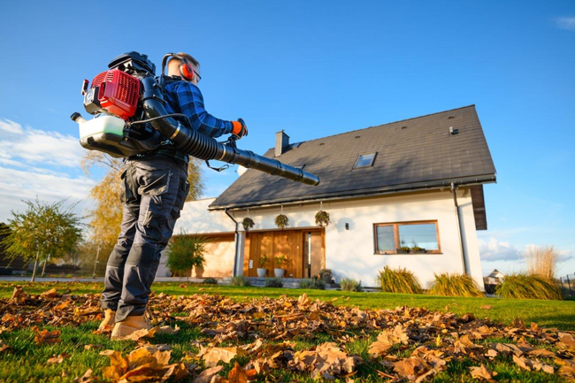 CEDRUS DM05 PRO PROFESSIONAL GARDEN LEAF BLOWER HOOVER - OFICIÁLNÍ DISTRIBUTOR - AUTORIZOVANÝ PRODEJCE CEDRUS