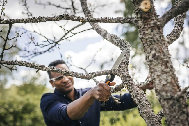 FISKARS SW68 Lumberjack Folding Saw 1067552 SW68 Plus™ (15 cm)