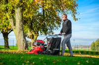 CEDRUS LV58 S PROFESSIONAL CLEANER + 4in1 SPRINEL LEAF VERTICULATOR 4in1 GARDEN DRIVE ROAD DRIVER 2in1 LV58S - OFFICIAL DISTRIBUTOR - AUTHORIZED DEALER CEDRUS