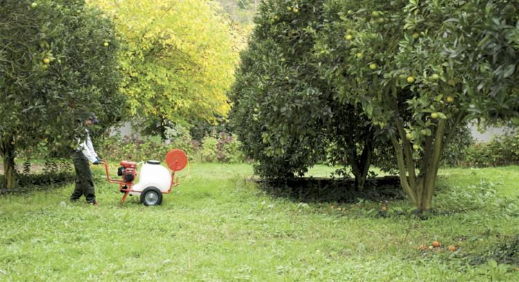 TRIUNFO SH100/40 opryskiwacz taczkowy w sadzie – zastosowanie praktyczne