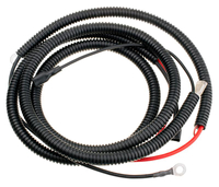 Cedrus Y196VE 480792 wires