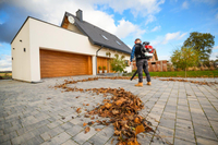 CEDRUS DM05 PRO PROFESSIONAL GARDEN LEAF BLOWER VACUUM CLEANER - OFFICIAL DISTRIBUTOR - AUTHORIZED CEDRUS DEALER