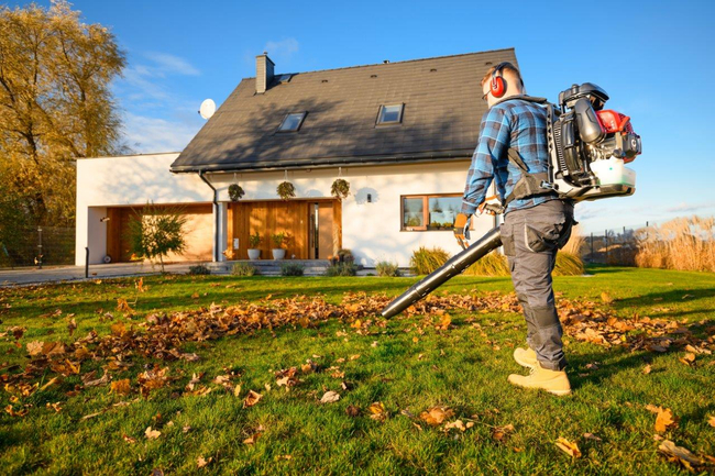 CEDRUS DM05 PRO PROFESSIONAL GARDEN LEAF BLOWER VACUUM CLEANER - OFFICIAL DISTRIBUTOR - AUTHORIZED CEDRUS DEALER