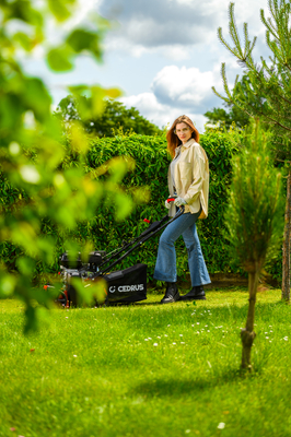 CEDRUS WR01 2v1 5,5 hp SPRINÁLNÍ VERTIKULÁTOR AREATOR 2v1 - EWIMAX - OFICIÁLNÍ DISTRIBUTOR - AUTORIZOVANÝ PRODEJCE CEDRUS