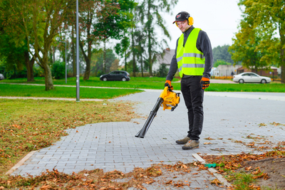 CEDRUS DM03 2-in-1 GARDEN SPRINAL VACUUM CLEANER - OFFICIAL DISTRIBUTOR - AUTHORIZED DEALER CEDRUS