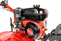 CEDRUS GL500 SPRELINER CULTILIZER 2 RUNNER / 5.5 HP / 50cm to 100cm Weima WM168FB/P CEDRUSGL500 GL500 hgs500 - EWIMAX - OFFICIAL DISTRIBUTOR - AUTHORIZED DEALER CEDRUS