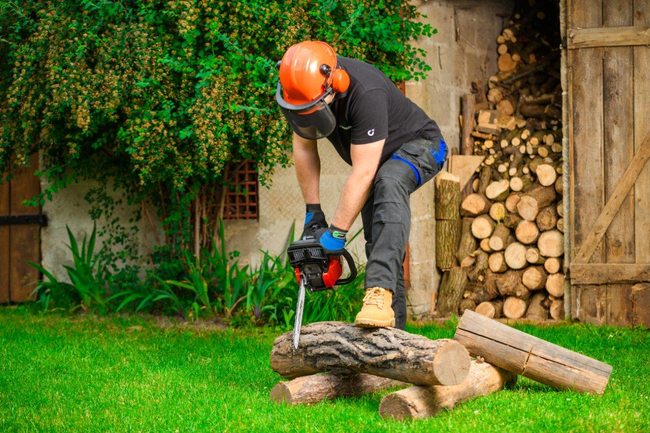 CEDRUS PS50-18T PETROL CHAIN SAW OREGON 3 KM - EWIMAX - OFFICIAL DISTRIBUTOR - AUTHORIZED CEDRUS DEALER