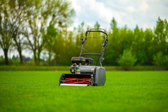 CEDRUS SM42 SPRINNE REEL MOWER 42 cm / 6.5 hp CEDRUS CEDSM42 - OFFICIAL DISTRIBUTOR - AUTHORIZED DEALER CEDRUS