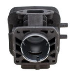 Kawasaki TJ53E cylinder /without piston/ 11005-2166