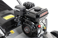 FAWORYT PRO RP40 L WERTYKULATOR SPALINOWY DO TRAWY AREATOR 2w1 5.5 KM