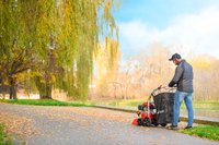 CEDRUS LV58 S PROFESSIONAL CLEANER + 4in1 SPRINEL LEAF VERTICULATOR 4in1 GARDEN DRIVE ROAD DRIVER 2in1 LV58S - OFFICIAL DISTRIBUTOR - AUTHORIZED DEALER CEDRUS