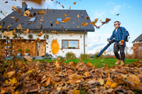 CEDRUS DM05 PRO PROFESSIONAL GARDEN LEAF BLOWER VACUUM CLEANER - OFFICIAL DISTRIBUTOR - AUTHORIZED CEDRUS DEALER