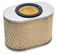 B&S Vanguard 8 - 10 HP Air Filter Model 190000 010158