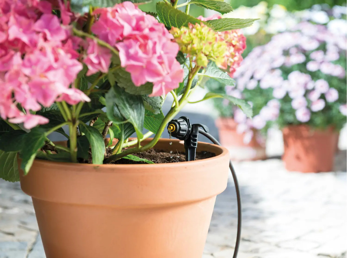 Zastosowanie węża do systemu zraszającego 4 mm HOZELOCK w donicach