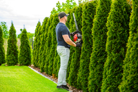 CEDRUS NZ02 SEKATOR NOŻYCE SPALINOWE DO ŻYWOPŁOTU KRZAKÓW KRZEWÓW SPALINOWE 61cm - EWIMAX - OFICJALNY DYSTRYBUTOR - AUTORYZOWANY DEALER CEDRUS