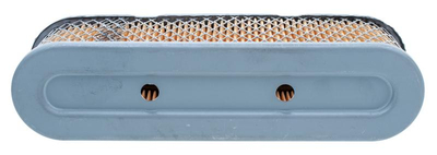 Tecumseh 12PS Vertica air filter. 8R05-04