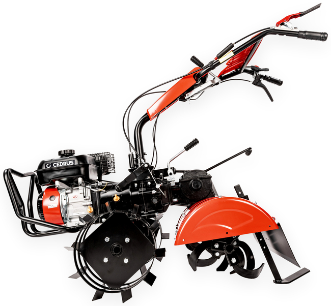 CEDRUS GLX640 SPRINIONAL GARDEN PLOTTILLER 5.5 HP / 62cm Weima 170F/P GLX 640 - EWIMAX - OFFICIAL DISTRIBUTOR - AUTHORIZED DEALER CEDRUS